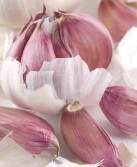 تصویر 1 از پودر سیر تازه مناسب طعم‌ دهی انواع غذاها و خورشت ها