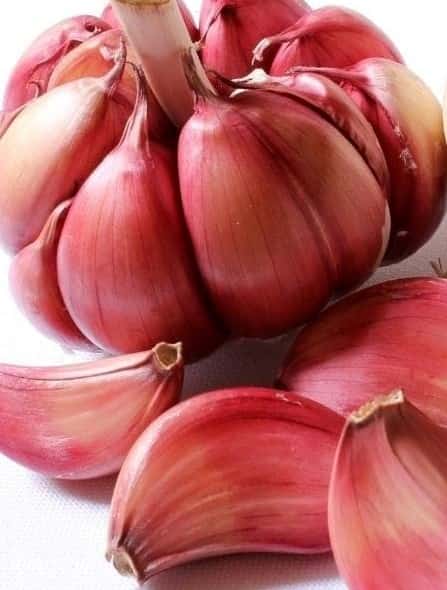 پودر سیر تازه مناسب طعم‌ دهی انواع غذاها و خورشت ها