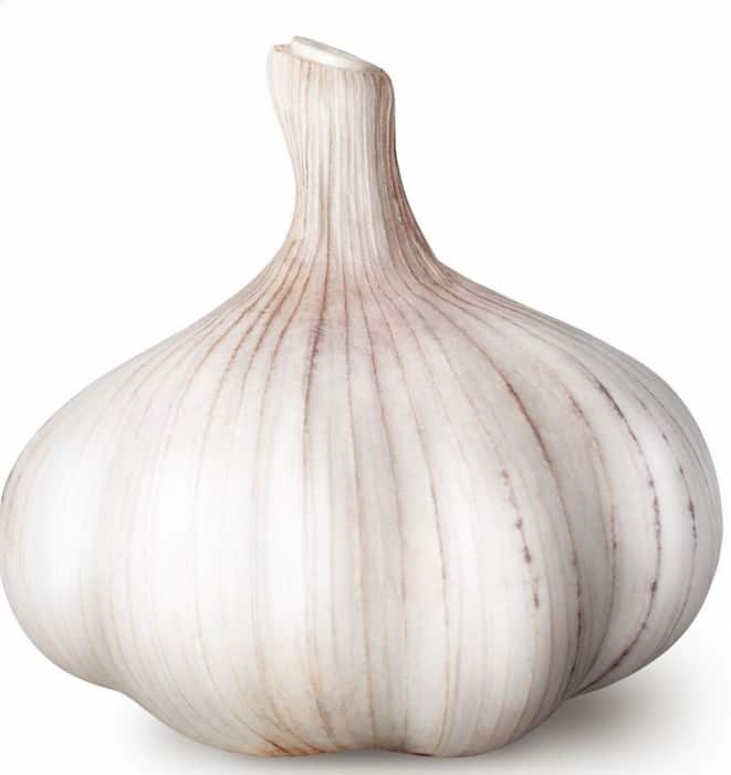 تصویر 2 از پودر سیر چینی اقتصادی برای مصارف روزمره