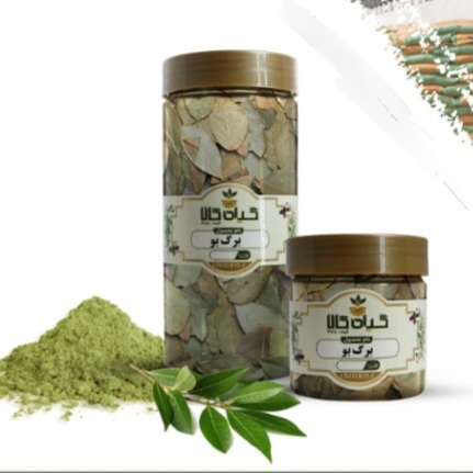 برگ بو خشک یا پودری بسته بندی فروش صادراتی