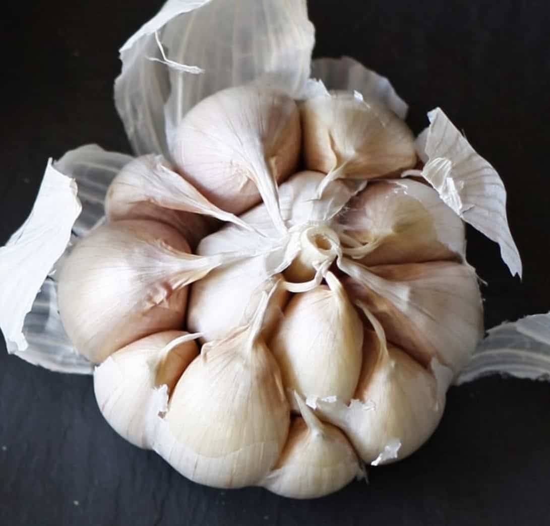 سیر پودر شده خالص با عطر و طعم واقعی سیر