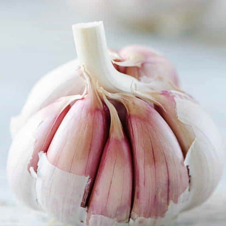 تصویر 1 از پودر سیر خشک شده مناسب مصرف طولانی‌ مدت