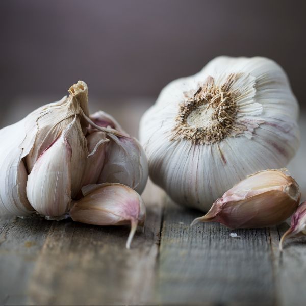 تصویر 1 از پودر سیر سفید با کیفیت ممتاز صادراتی و درجه‌ یک