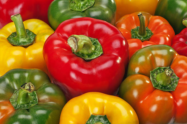 فلفل دلمه ای جیرفت صادراتی با کیفیت