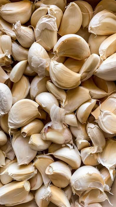 سیر پودری خالص و تازه و خوش عطر