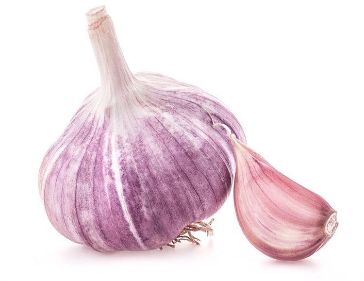 تصویر 3 از پودر سیر ایرانی اعلا مناسب رستوران و منزل