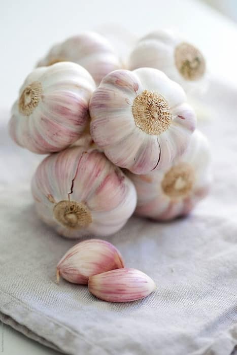 تصویر 2 از سیر پودر شده سفید مناسب طعم‌ دهی فوری