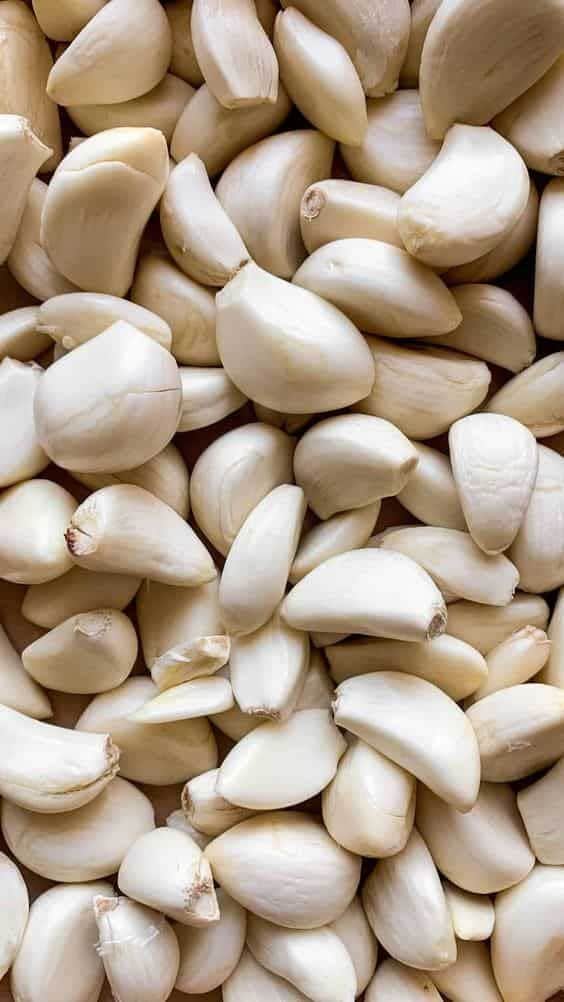 تصویر 3 از پودر سیر خشک شده با ماندگاری فوق‌ العاده بالا