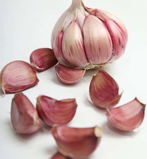 تصویر 3 از پودر سیر سفید تازه و اعلا مناسب مصارف حرفه‌ ای