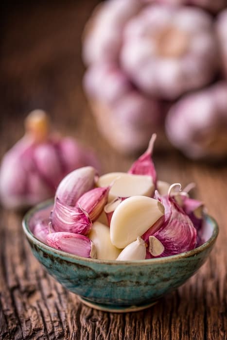 تصویر 2 از پودر سیر بسته‌ بندی شده با کیفیت ممتاز