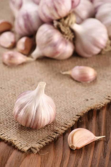 پودر سیر بسته‌ بندی شده با کیفیت ممتاز