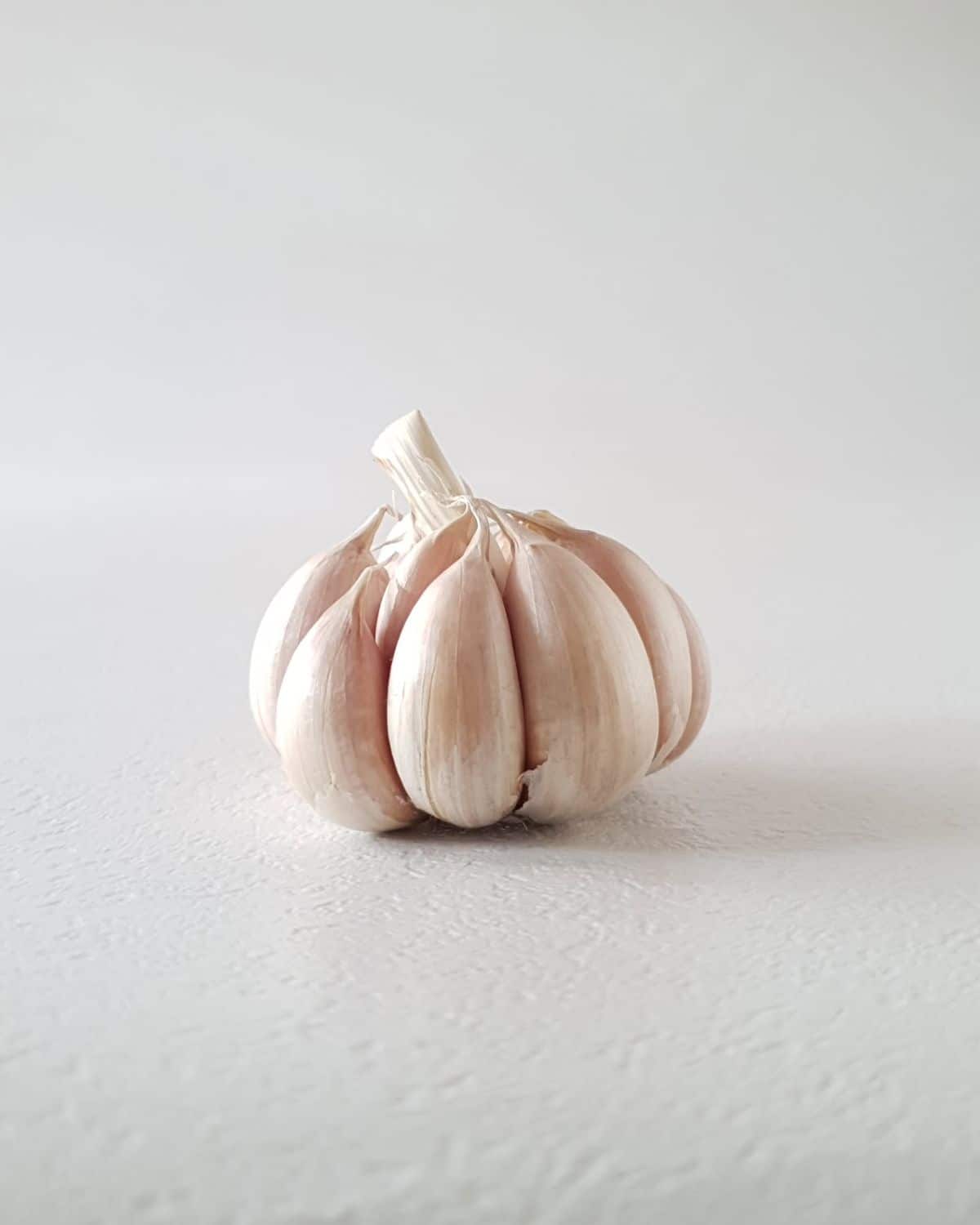 تصویر 2 از پودر سیر اصل با عطر تند و طبیعی بسیار باکیفیت