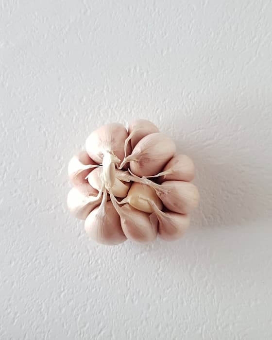 پودر سیر اصل با عطر تند و طبیعی بسیار باکیفیت