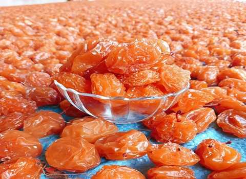 تصویر 4 از آلو بخارا اعلا با کیفیت ممتاز