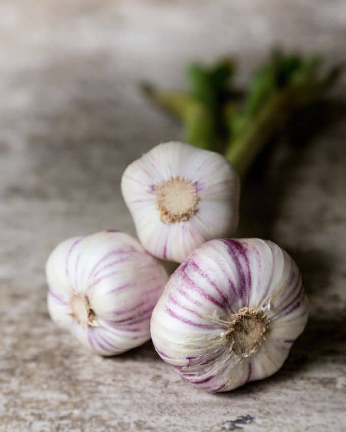 تصویر 1 از پودر سیر ممتاز درجه یک بسته‌ بندی شده کاملا بهداشتی