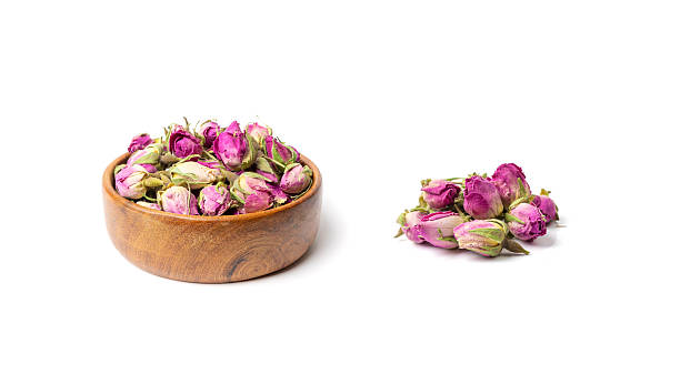 مرغوب ترین گل غنچه محمدی معطر و مفید