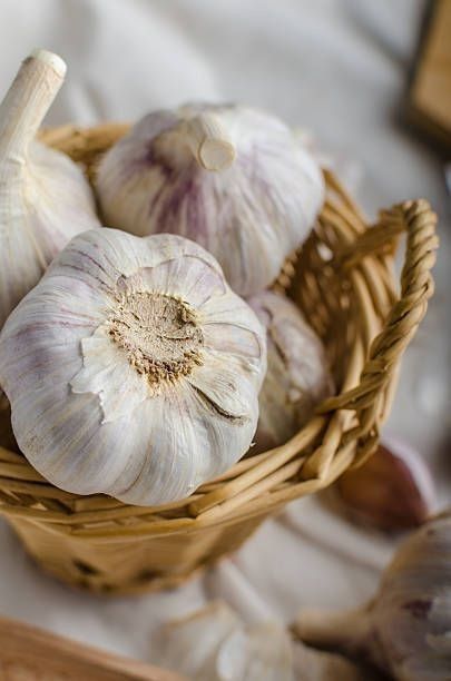 تصویر 3 از سیر پودری اصل با عطر و طعم واقعی  سیر تازه