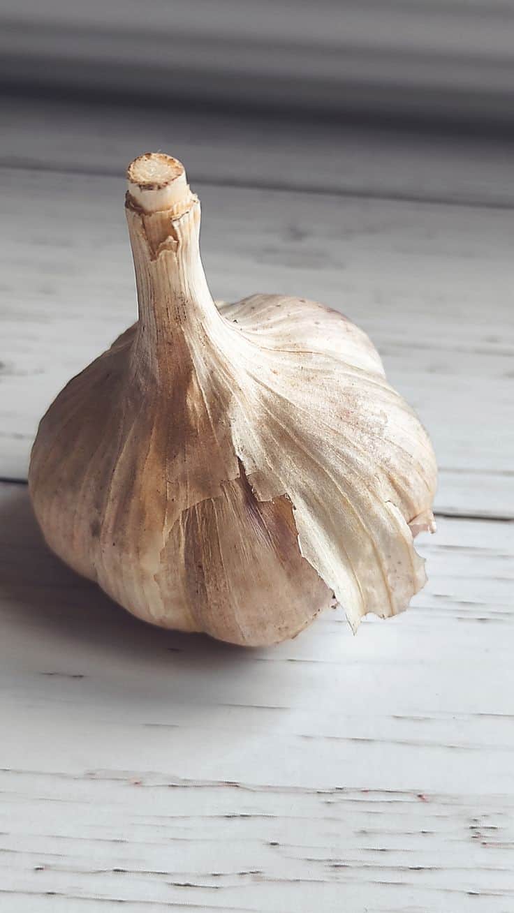 تصویر 2 از پودر سیر ایرانی با طعم طبیعی و خالص