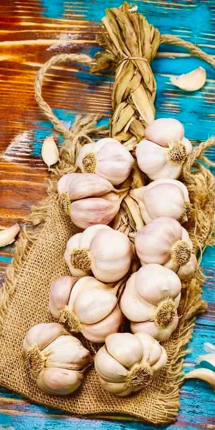 تصویر 3 از پودر سیر ایرانی با طعم طبیعی و خالص