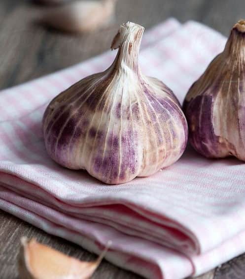 تصویر 2 از پودر سیر سفید مرغوب با عطر ماندگار و طعم تازه و عالی