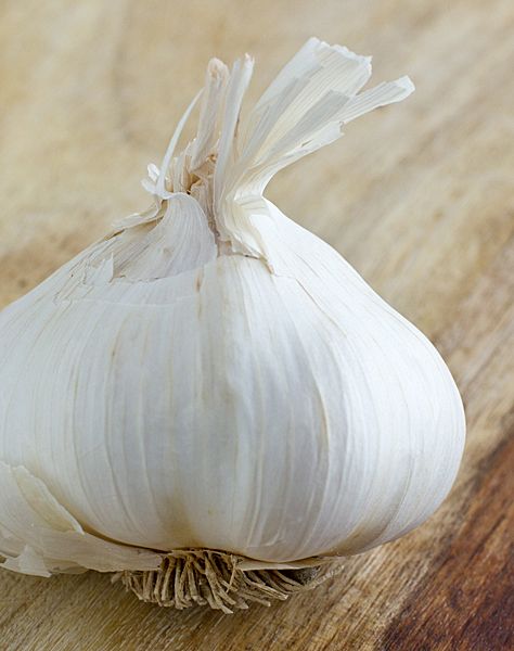 تصویر 3 از پودر سیر سفید مرغوب با عطر ماندگار و طعم تازه و عالی