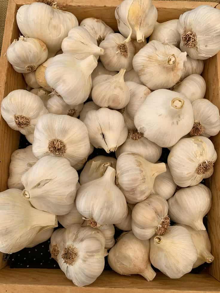 تصویر 2 از پودر سیر چینی با بسته‌ بندی استاندارد و طعم و کیفیت عالی