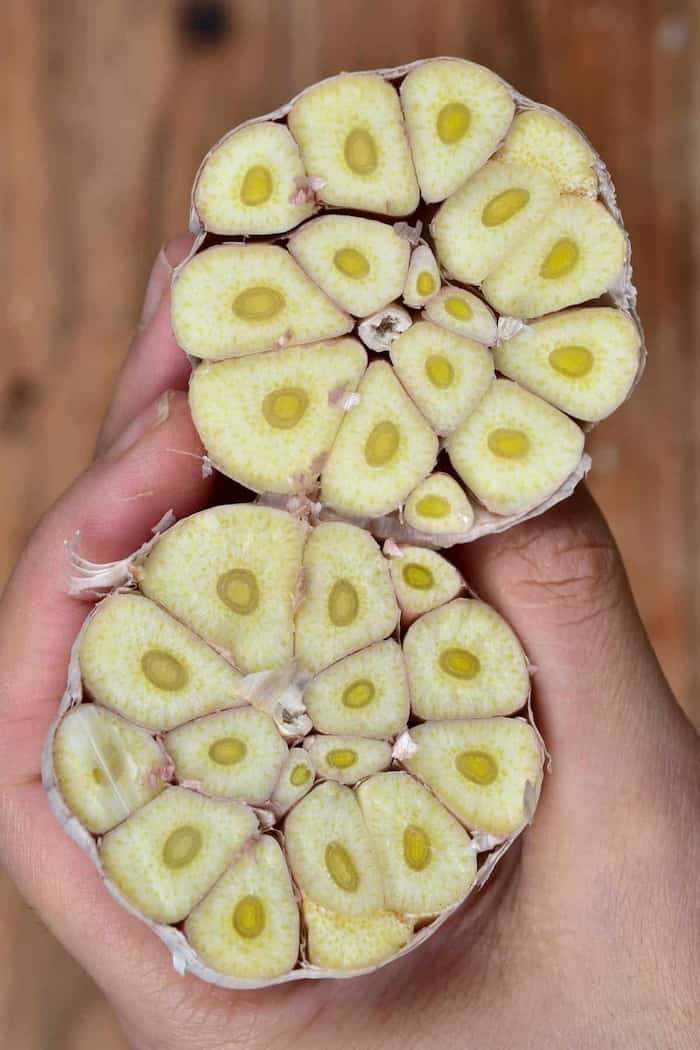 تصویر 2 از سیر پودری اعلا با طعم فوق العاده خوشمزه مناسب مصارف خانگی و صنعتی