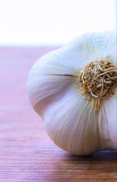 تصویر 2 از پودر سیر باکیفیت بسته‌ بندی مناسب فروشگاه ها و فروش عمده