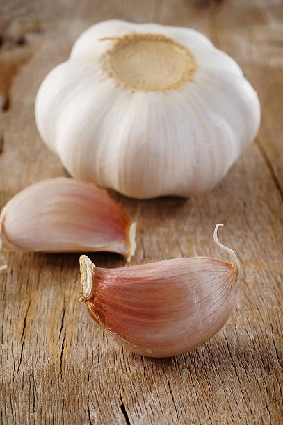 سیر پودر شده با طعم طبیعی و خوشایند + تازه و با کیفیت