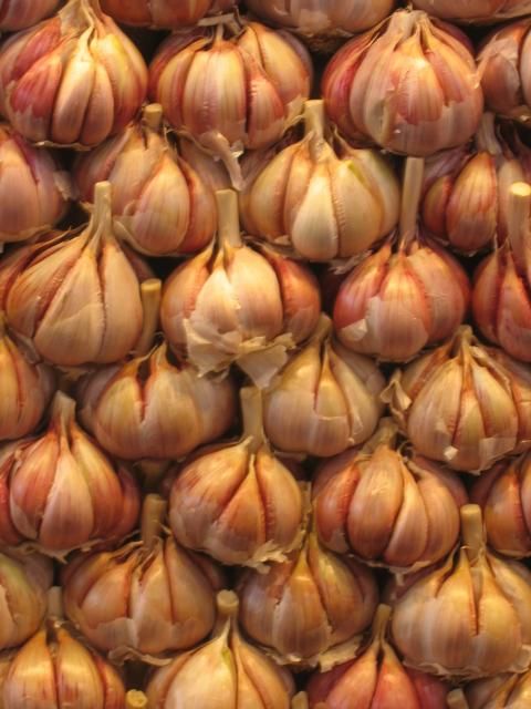 تصویر 3 از پودر سیر ایرانی اعلا برای طعم‌ دهی عالی