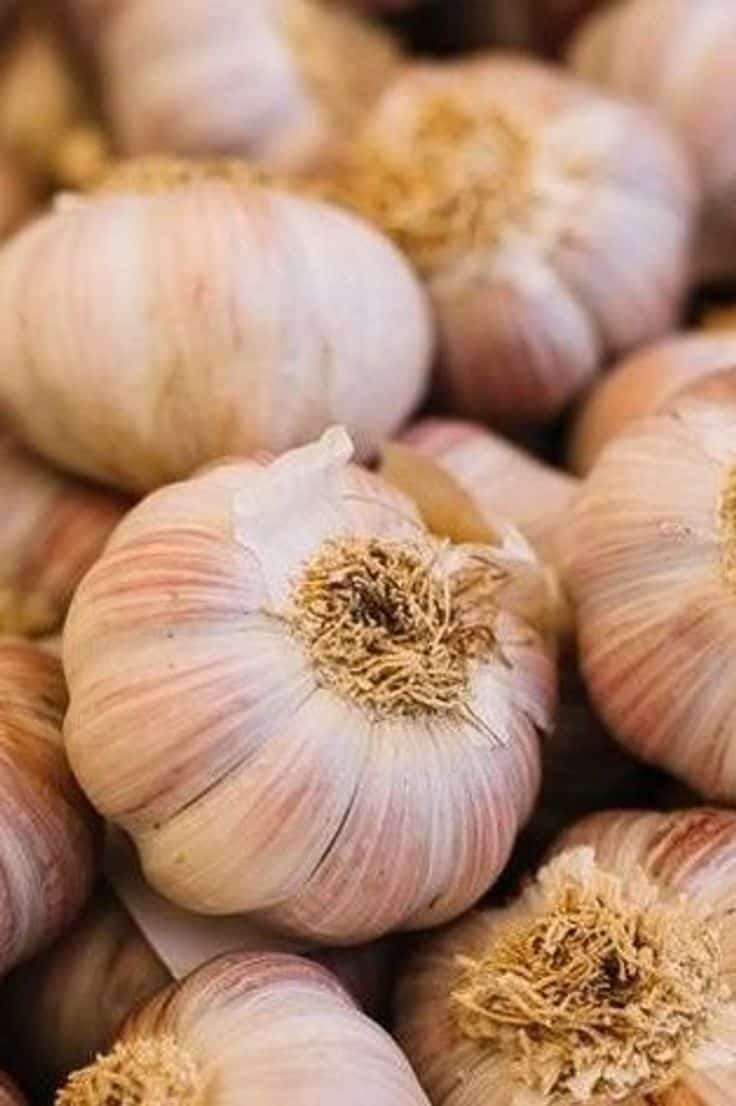 پودر سیر ایرانی اعلا برای طعم‌ دهی عالی