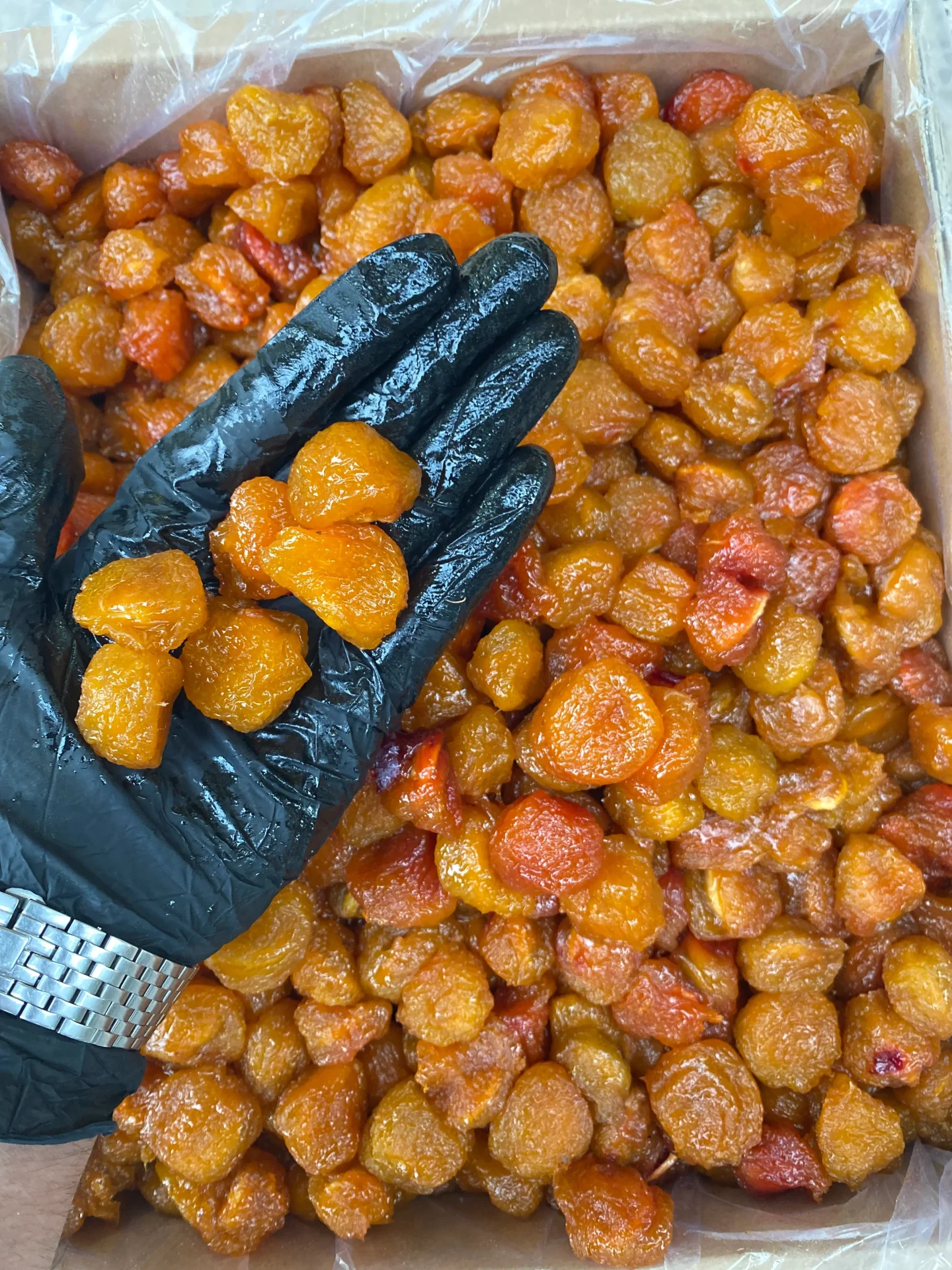 تصویر 1 از آلو بخارا رسمی برای کاربرد های خانگی و حرفه ای