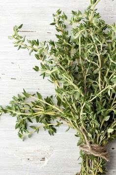 تصویر 2 از آویشن شیرازی خوش‌ عطر برای انواع غذاها