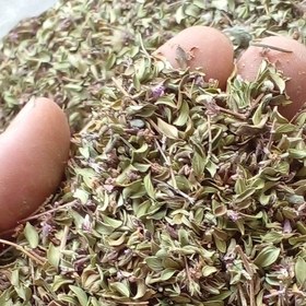 تصویر 1 از آویشن زنجان خشک و خوش عطر مناسب مصرف خانگی