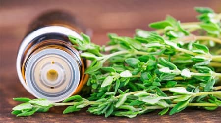 تصویر 3 از آویشن برگ باریک تازه و خوش طعم با عطر فوق‌ لعاده