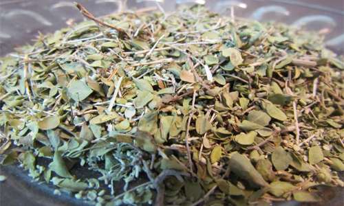 تصویر 1 از آویشن خشک باغی ارگانیک با طعم واقعی کوهستان