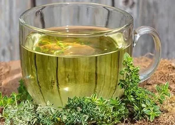 آویشن خشک باغی ارگانیک با طعم واقعی کوهستان