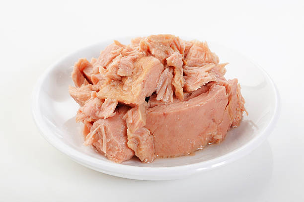 بهترین تن ماهی جدید عرضه معتبرترین برند ها