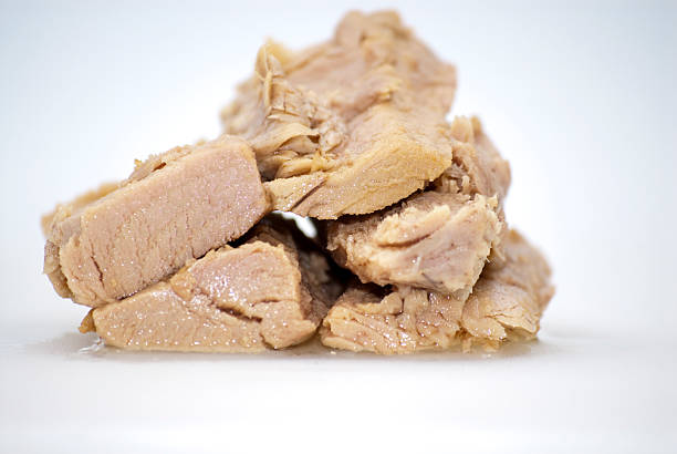 تن ماهی صد گرمی ارزان و با شرایط عالی