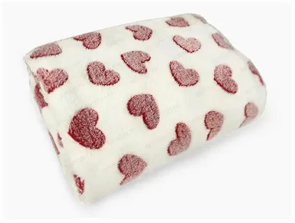 پتو مسافرتی خیلی گرم برای زمستان سخت