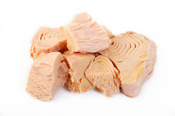 انواع تن ماهی عمده و مقرون به صرفه