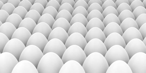 تصویر 4 از تخم مرغ فله ای با پوسته سالم و زرده درشت