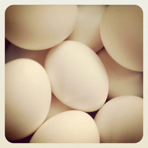 تصویر 2 از تخم مرغ فله ای با پوسته سالم و زرده درشت