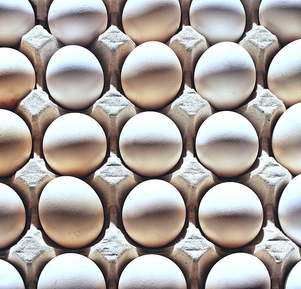 تصویر 3 از تخم مرغ فله ای با پوسته سالم و زرده درشت