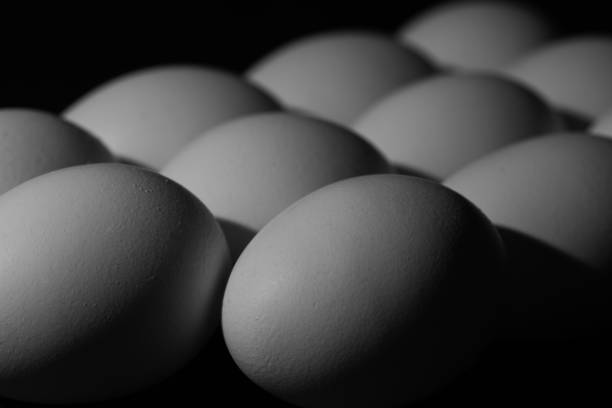 تصویر 1 از تخم مرغ درجه یک با زرده طلایی و کیفیت ممتاز