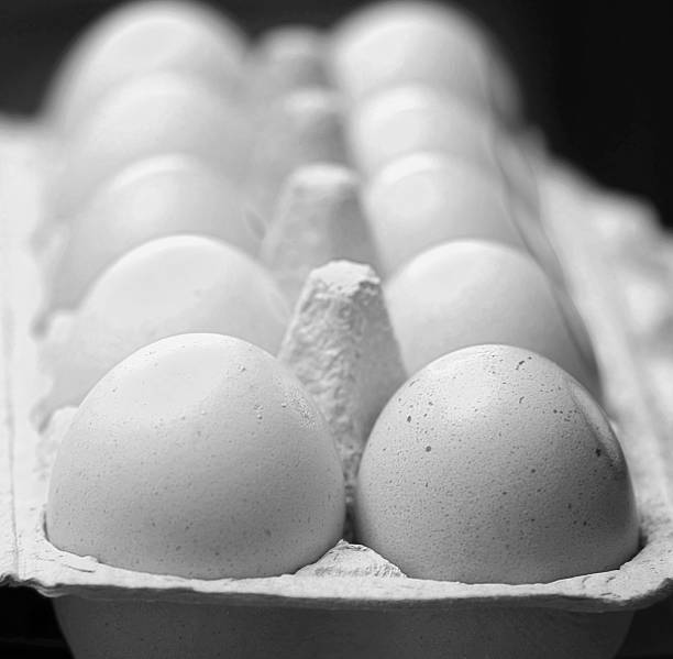 تصویر 2 از تخم مرغ درجه یک با زرده طلایی و کیفیت ممتاز