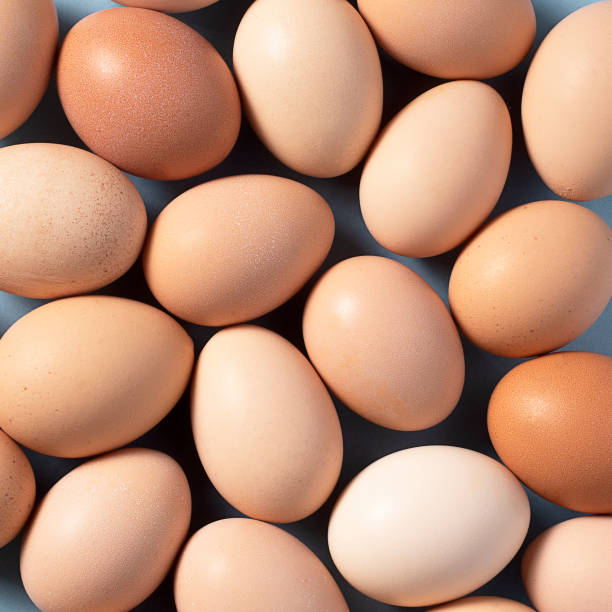 تصویر 3 از تخم مرغ دوزرده با بافت غلیظ و طعم اصیل