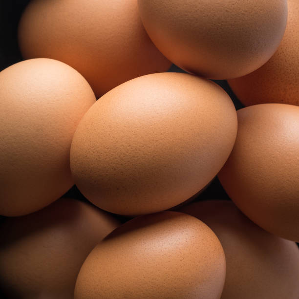 تصویر 4 از تخم مرغ پرورشی تازه با وزن یک دست