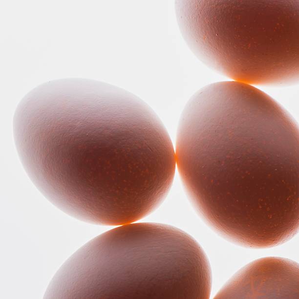 تصویر 1 از تخم مرغ پرورشی تازه با وزن یک دست