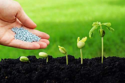 کود اوره دارای پتاس 20 کیلوگرمی